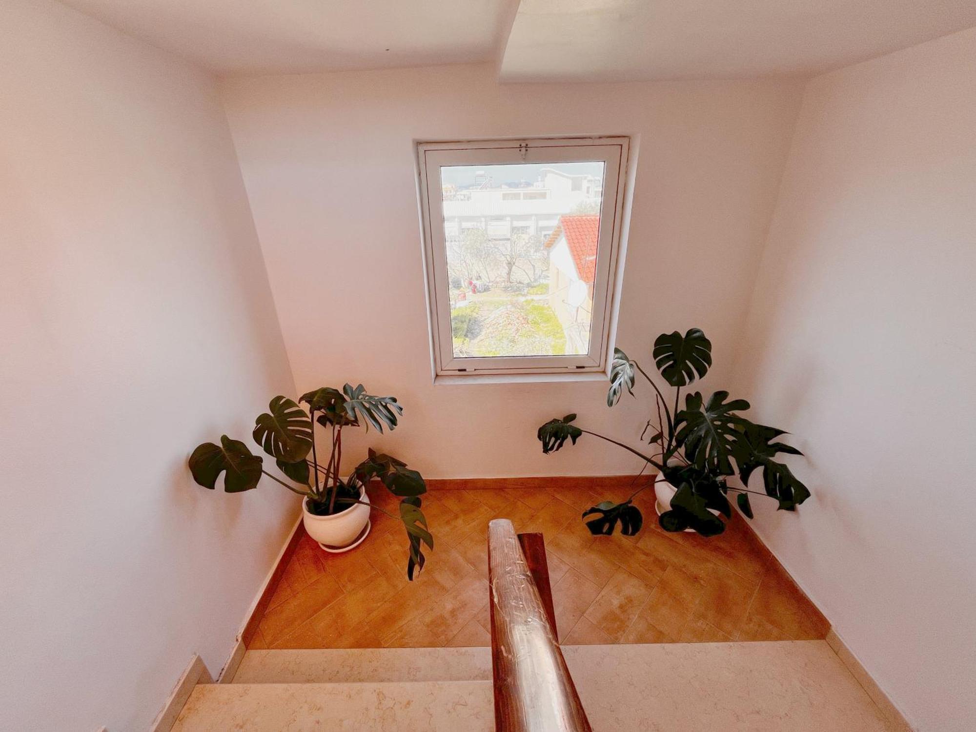 Apartamento Pothos' House